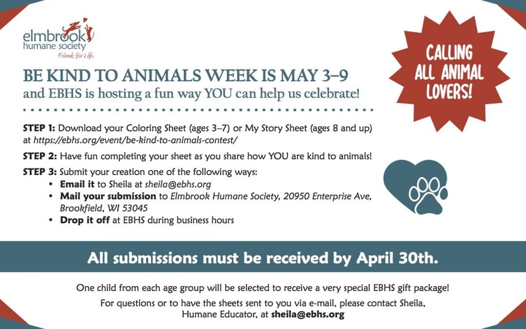 Be Kind to Animals Contest