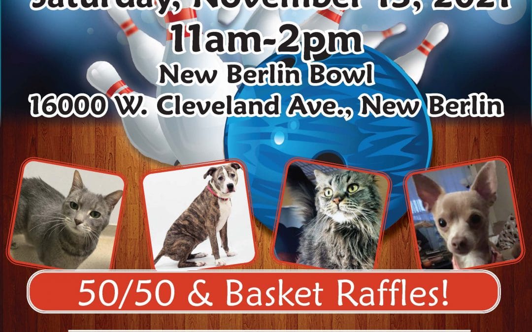 Pins for Paws Bowl-A-Thon: Team of 5 +$100