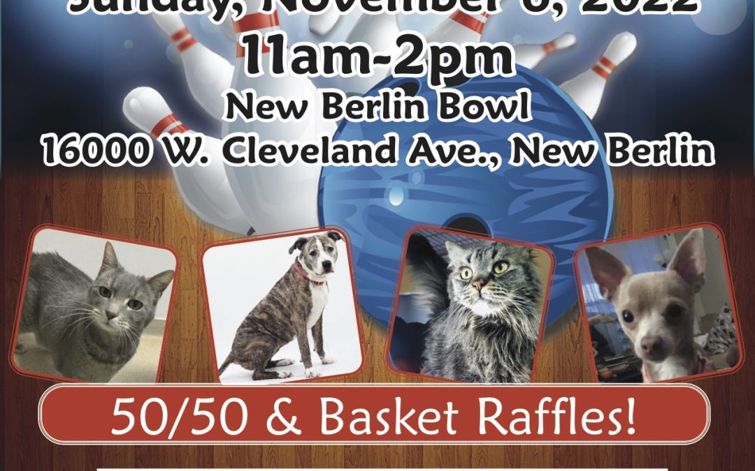 Pins for Paws Bowl-A-Thon: Single Bowler (to join a team)