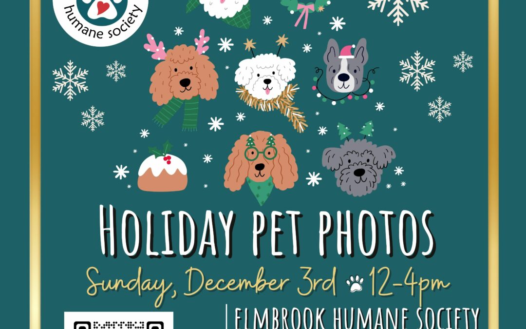 Holiday Pet Photos – EBHS