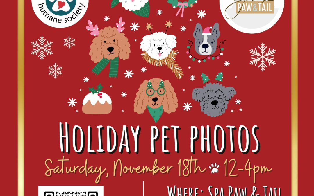 Holiday Pet Photos – Spa Paw & Tail