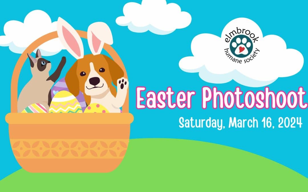Easter Pet Photos at EBHS