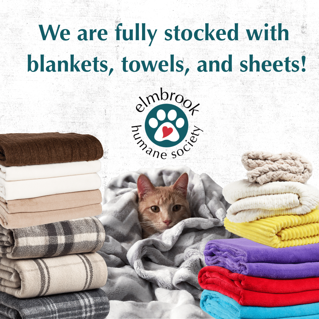 An orange cat bundled in a gray blanket surrounded by piles of blankets on either side of him.