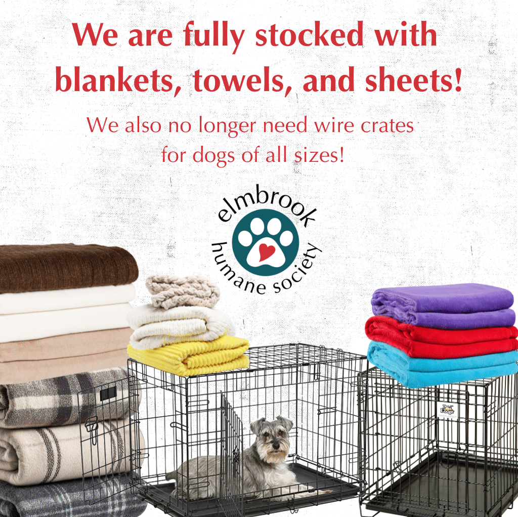 We are full of blankets, towels, and wire crates! We don't need any more of these donated, thank you!