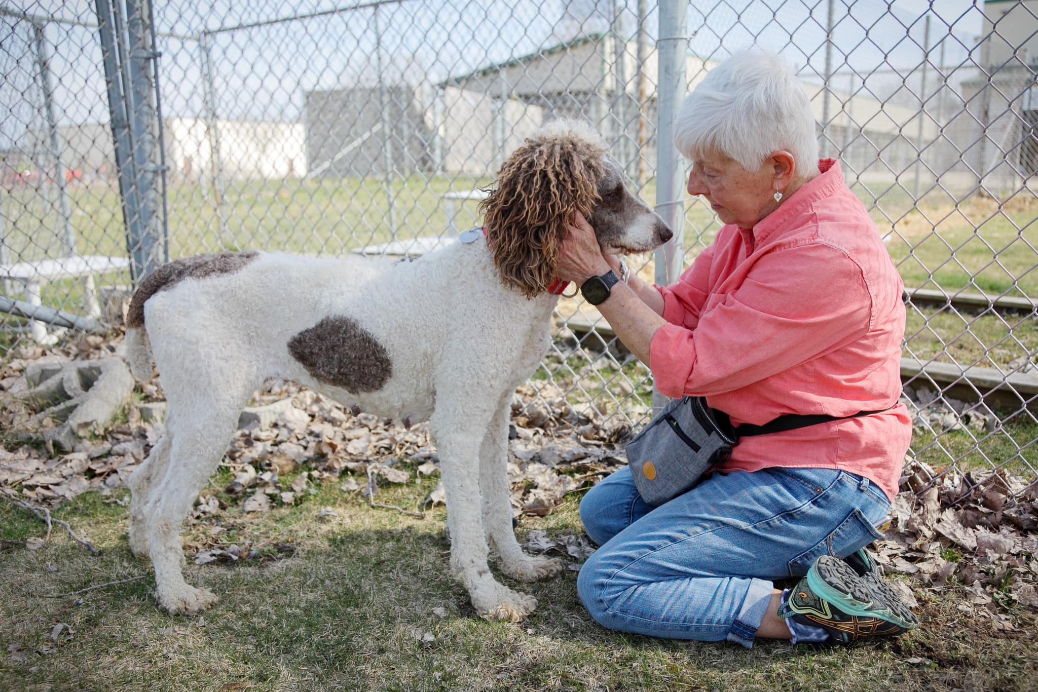 Woman kneeling next to a brown and white poodle and petting the dog's face. 