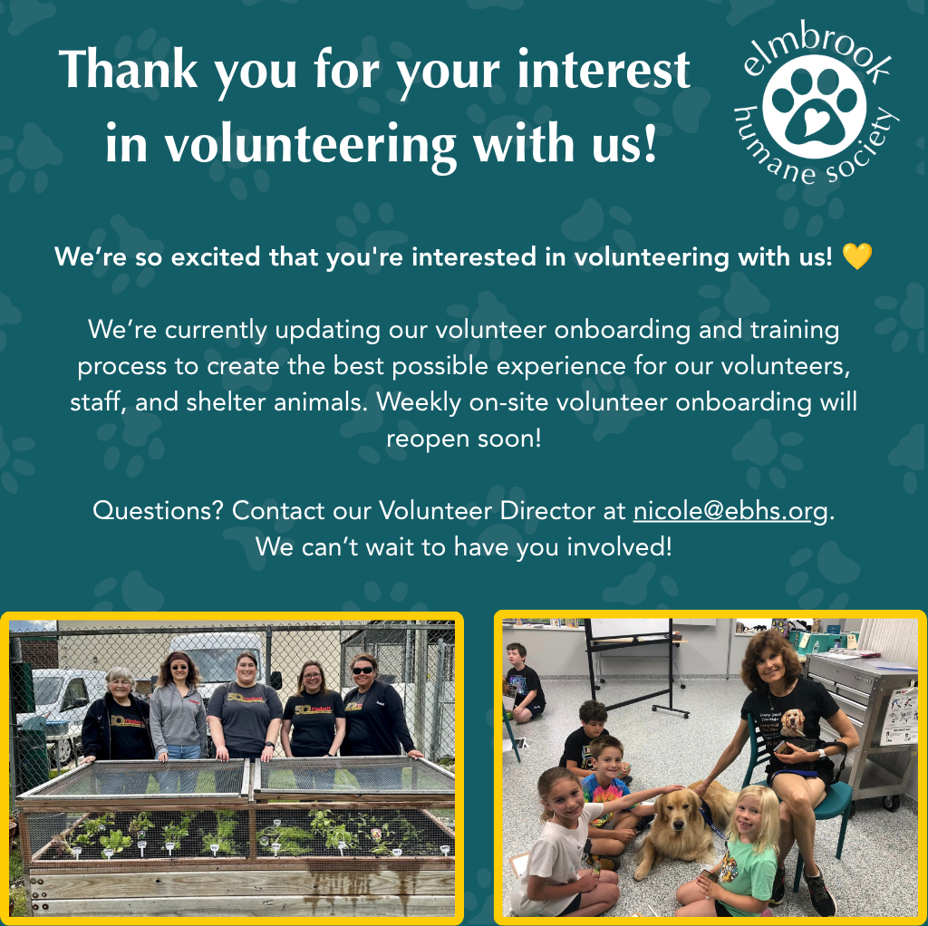 Volunteer Opportunities